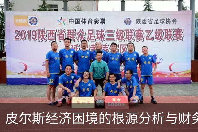 皮尔斯经济困境的根源分析与财务管理启示